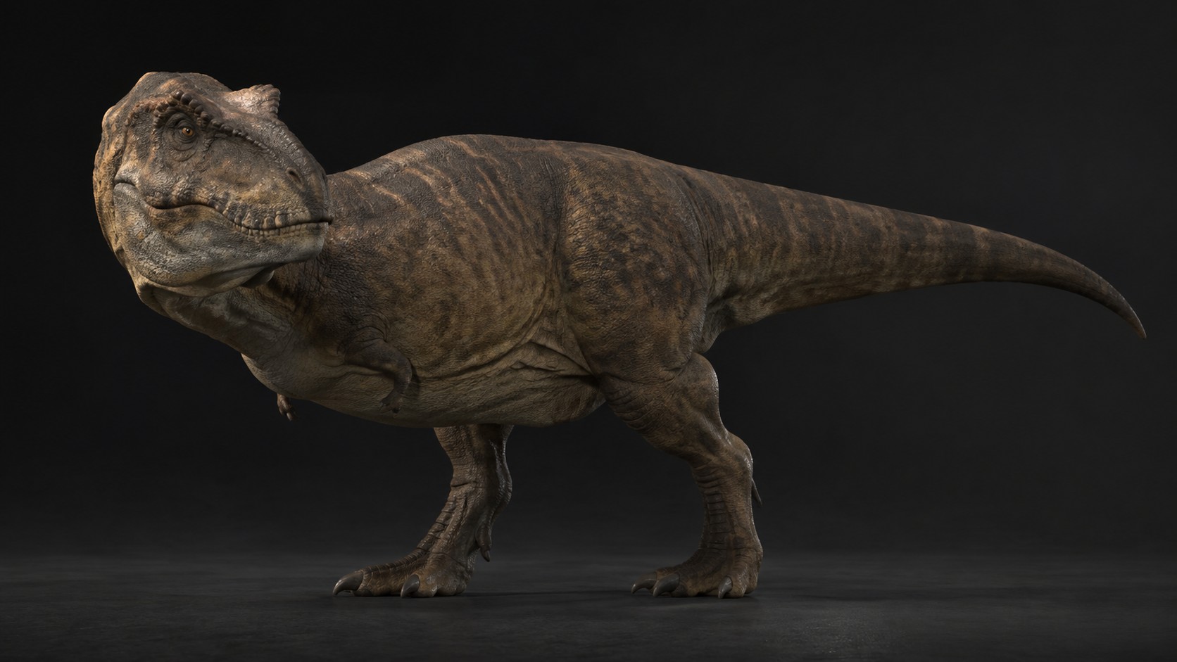 Tyrannosaurus rex